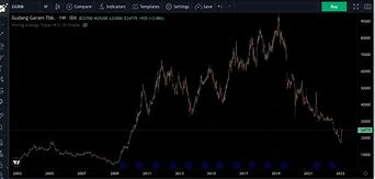 1 Lot Saham Pt Gudang Garam Milik Siapa